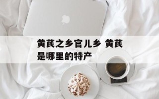 黄芪之乡官儿乡 黄芪是哪里的特产