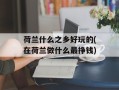 荷兰什么之乡好玩的(在荷兰做什么最挣钱)