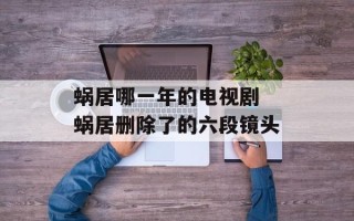 蜗居哪一年的电视剧 蜗居删除了的六段镜头