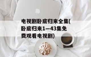 电视剧卧底归来全集(卧底归来1—43集免费观看电视剧)