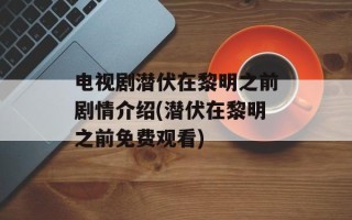 电视剧潜伏在黎明之前剧情介绍(潜伏在黎明之前免费观看)