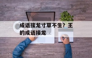 成语接龙寸草不生？王的成语接龙