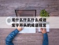 龙什么什么什么成语 龙字开头的成语接龙
