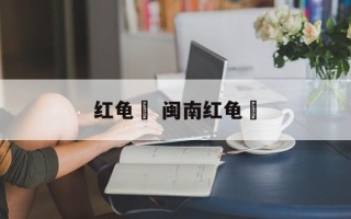 红龟粿 闽南红龟粿