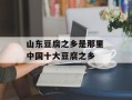山东豆腐之乡是那里 中国十大豆腐之乡