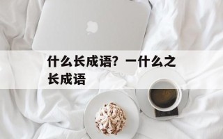 什么长成语？一什么之长成语