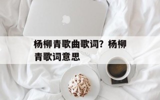 杨柳青歌曲歌词？杨柳青歌词意思