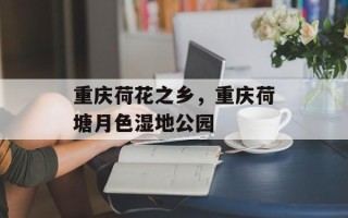 重庆荷花之乡，重庆荷塘月色湿地公园