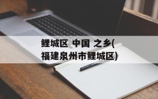 鲤城区 中国 之乡(福建泉州市鲤城区)