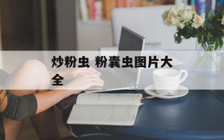 炒粉虫 粉囊虫图片大全