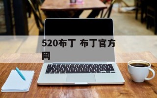 520布丁 布丁官方网