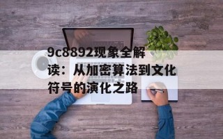 9c8892现象全解读：从加密算法到文化符号的演化之路