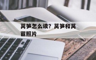 莴笋怎么读？莴笋和莴苣照片
