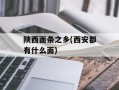 陕西面条之乡(西安都有什么面)