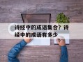 诗经中的成语集合？诗经中的成语有多少