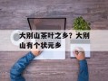 大别山茶叶之乡？大别山有个状元乡