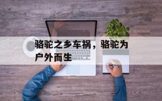 骆驼之乡车祸，骆驼为户外而生