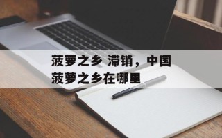 菠萝之乡 滞销，中国菠萝之乡在哪里