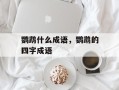 鹦鹉什么成语，鹦鹉的四字成语