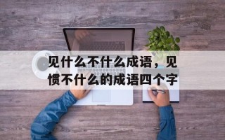 见什么不什么成语，见惯不什么的成语四个字