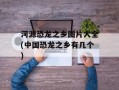 河源恐龙之乡图片大全(中国恐龙之乡有几个)