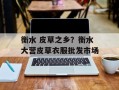 衡水 皮草之乡？衡水大营皮草衣服批发市场