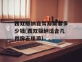 西双版纳自驾游需要多少钱(西双版纳适合几月份去旅游)