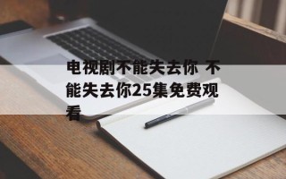 电视剧不能失去你 不能失去你25集免费观看