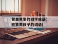 赞美男生的四字成语(称赞男孩子的词语)
