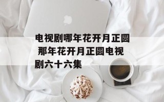 电视剧哪年花开月正圆 那年花开月正圆电视剧六十六集