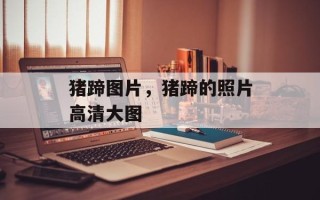 猪蹄图片，猪蹄的照片高清大图