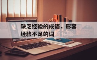 缺乏经验的成语，形容经验不足的词