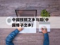 中国核桃之乡马路(中国榛子之乡)