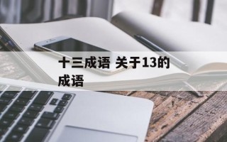 十三成语 关于13的成语