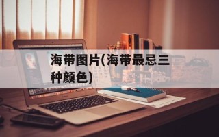 海带图片(海带最忌三种颜色)