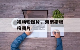 猪肠粉图片，海南猪肠粉图片