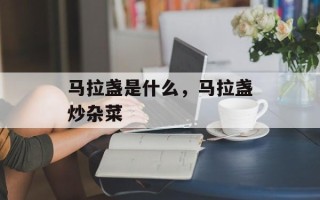 马拉盏是什么，马拉盏炒杂菜