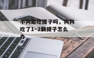 小狗能吃提子吗，狗狗吃了1～2颗提子怎么办