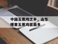 中国五黑鸡之乡，山东哪里五黑鸡苗最多
