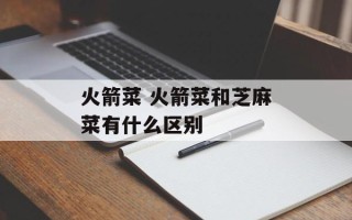 火箭菜 火箭菜和芝麻菜有什么区别