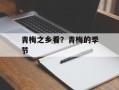青梅之乡看？青梅的季节