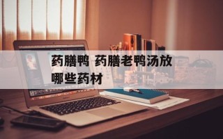药膳鸭 药膳老鸭汤放哪些药材