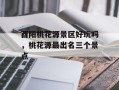 酉阳桃花源景区好玩吗，桃花源最出名三个景点