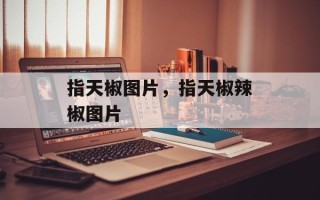 指天椒图片，指天椒辣椒图片