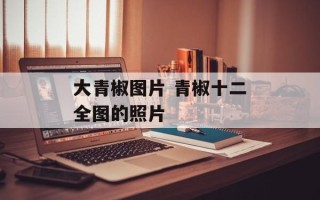 大青椒图片 青椒十二全图的照片