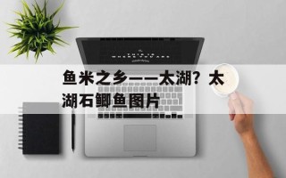 鱼米之乡——太湖？太湖石鲫鱼图片