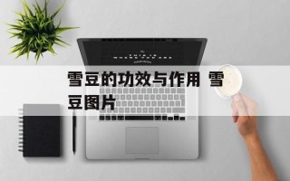 雪豆的功效与作用 雪豆图片