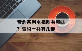 雪豹系列电视剧有哪些？雪豹一共有几部