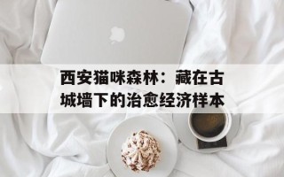西安猫咪森林：藏在古城墙下的治愈经济样本