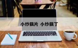 小炒藕片 小炒藕丁